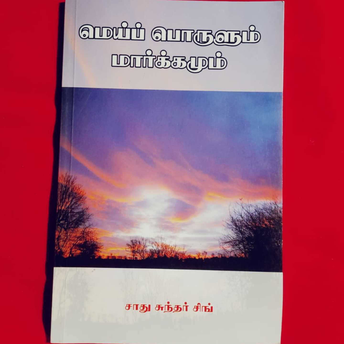 MEIPORULUM MARGAMUM