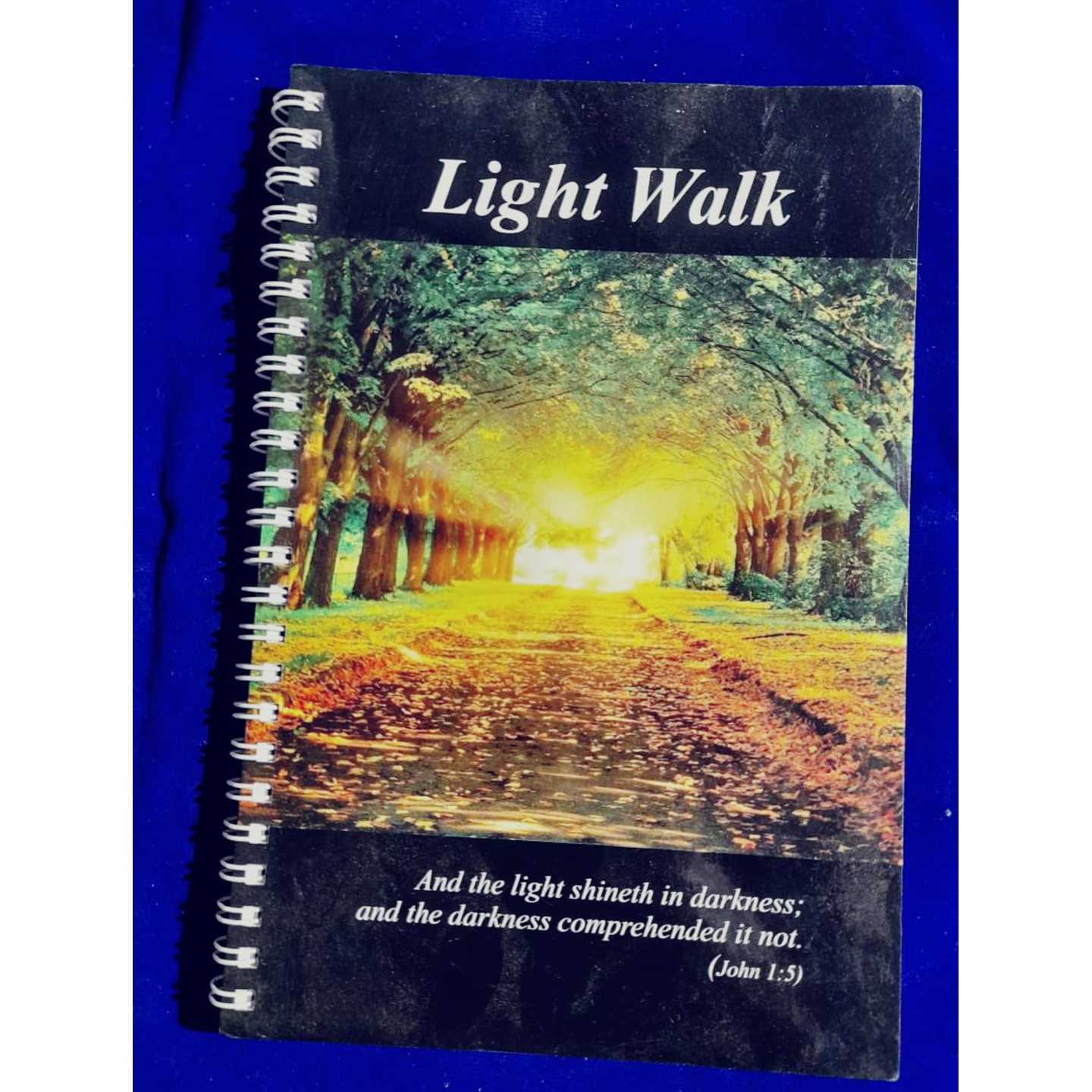 LIGHT WALK