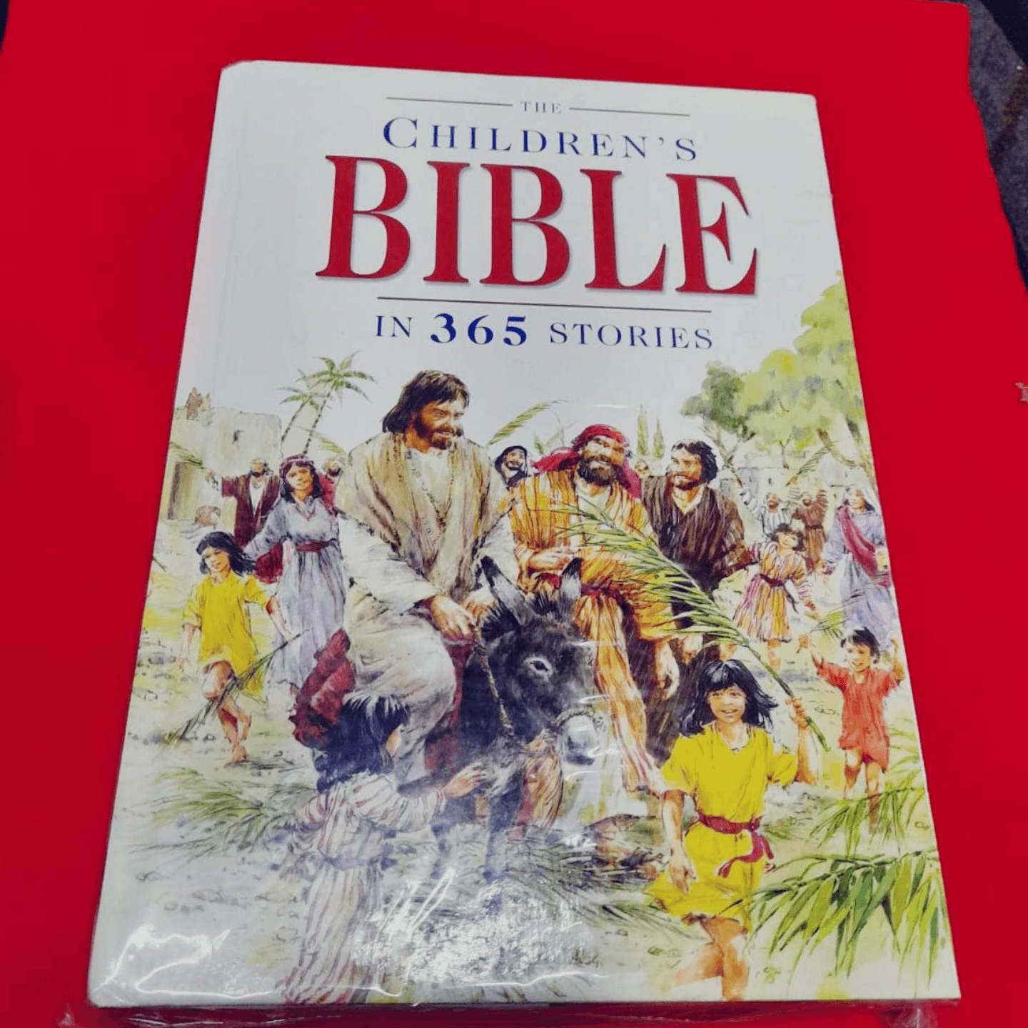 CHILDRENS BIBLE 365 STORIES