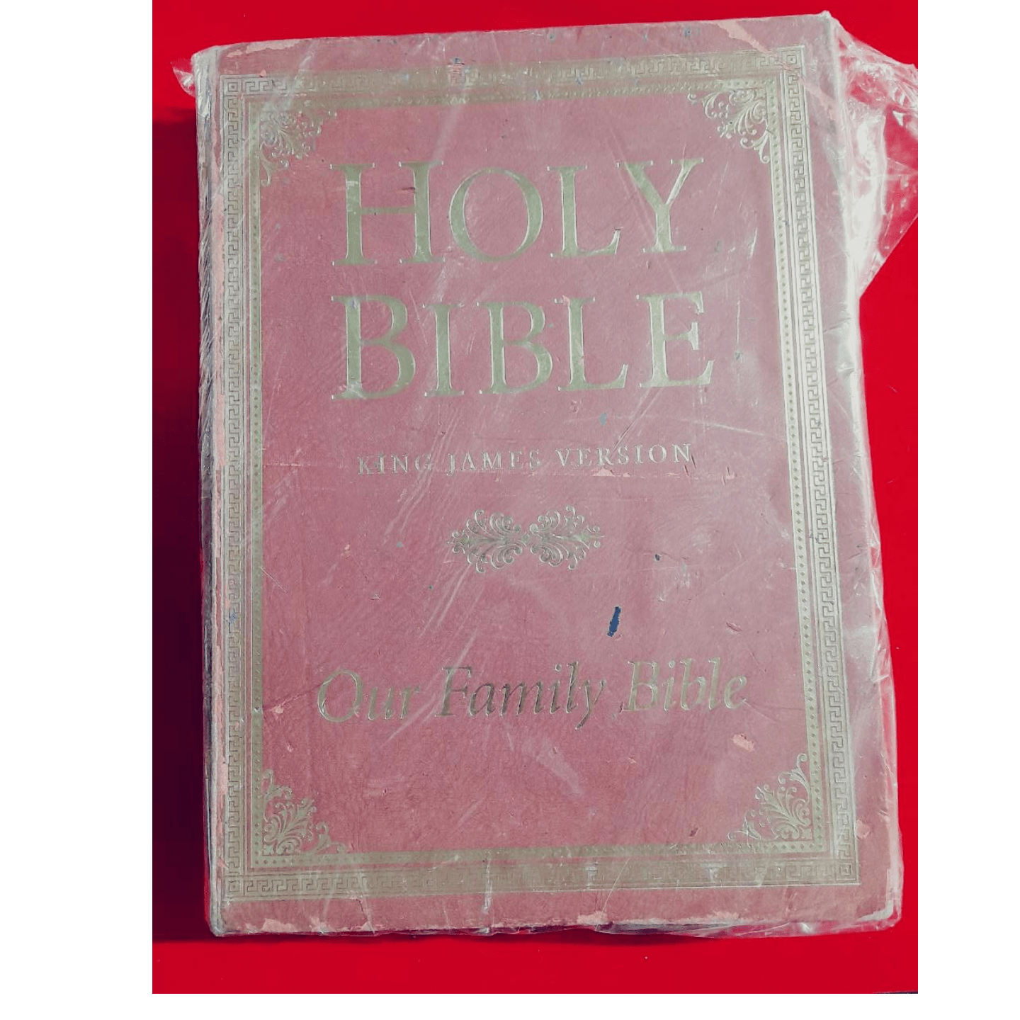 KJV OUR FAMILY BIBLE