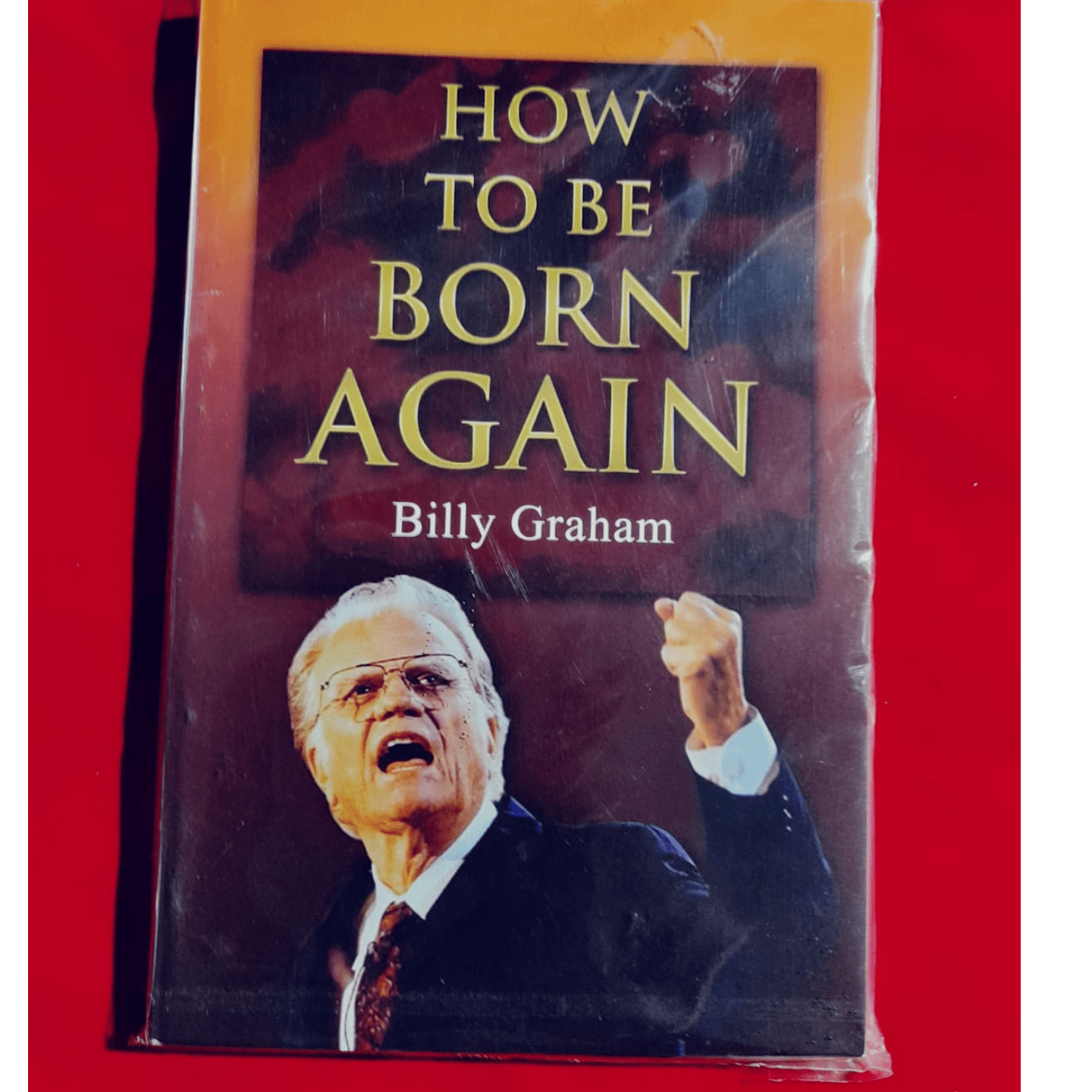 HOW TO BE BORN AGAIN