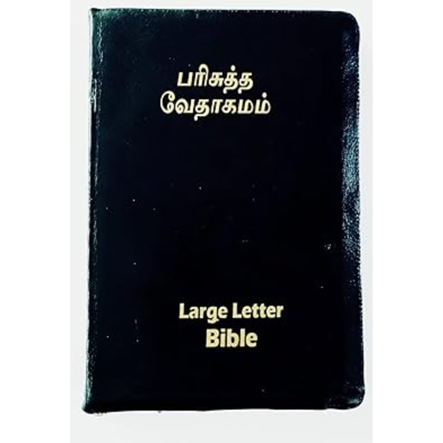 LARGE LETTER BIBLE