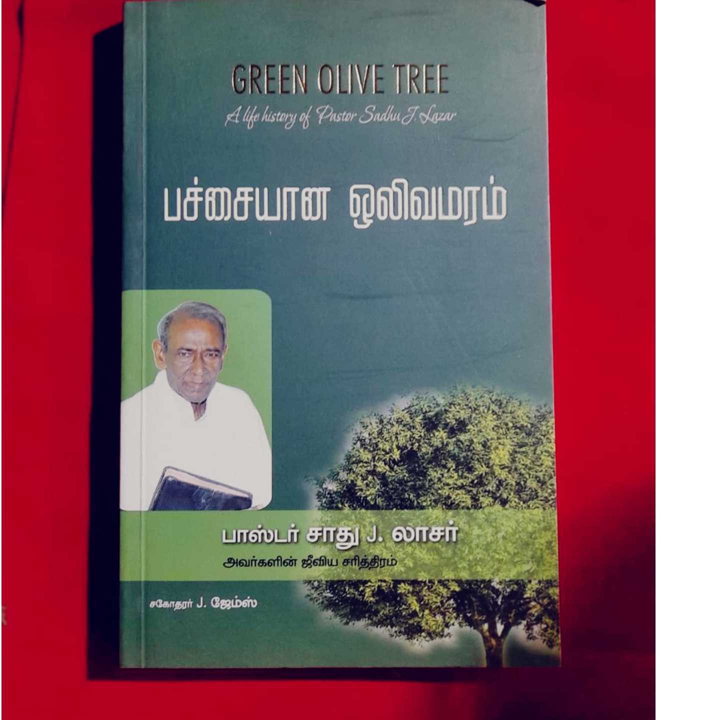 GREEEN OILVE TREEE