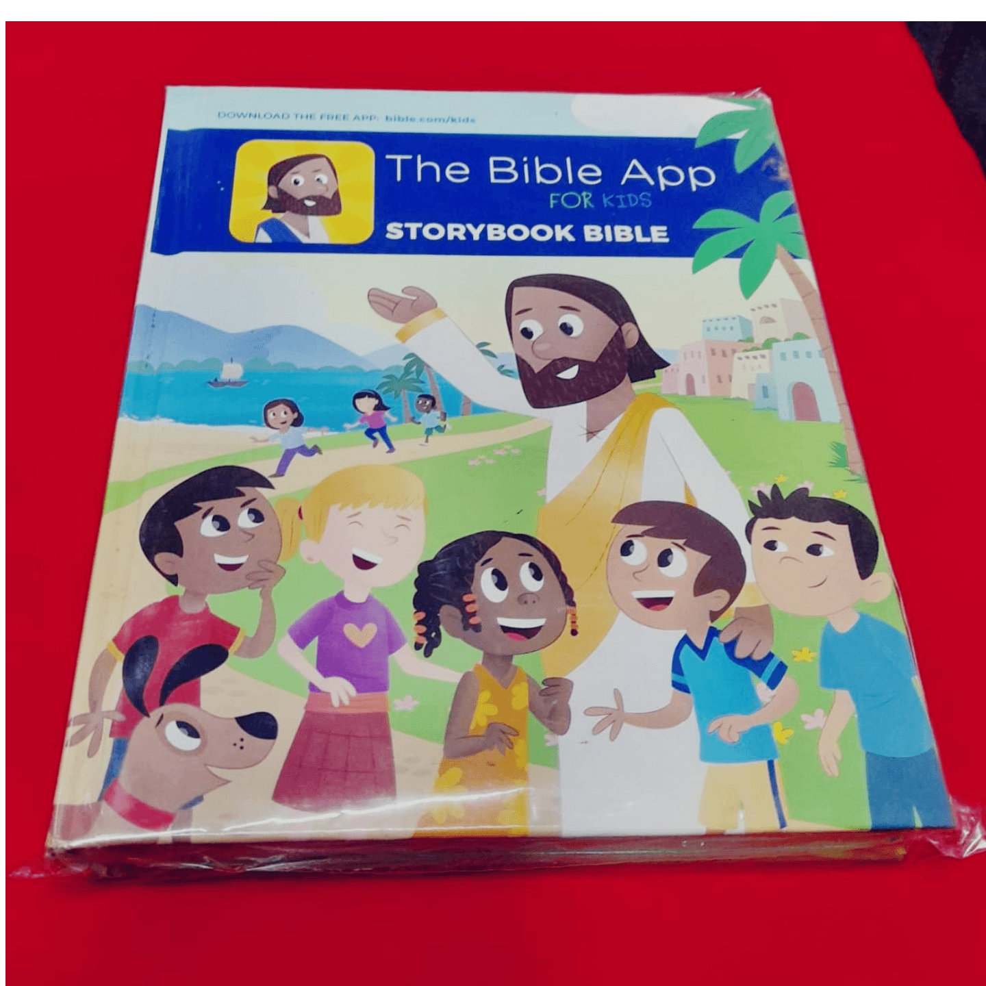 STORY BOOK BIBLE