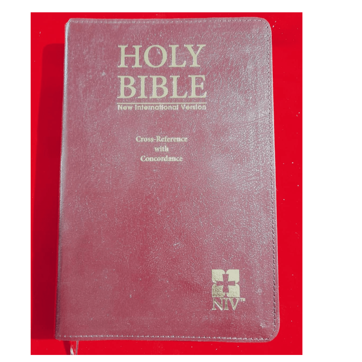 NIV BIBLE