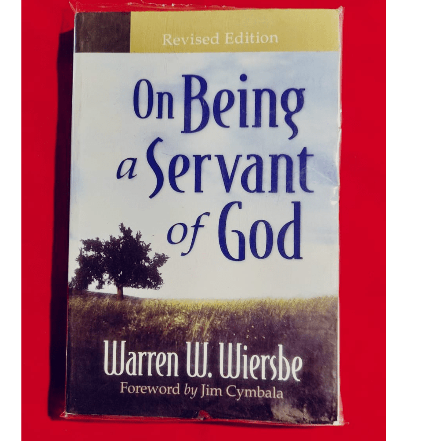 ON BEING TE SERVENT