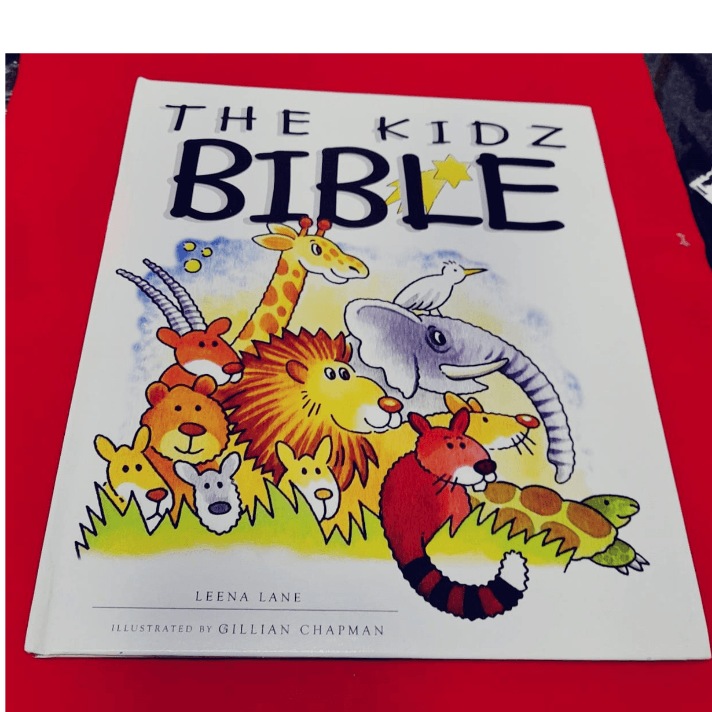 THE KIDS BIBLE
