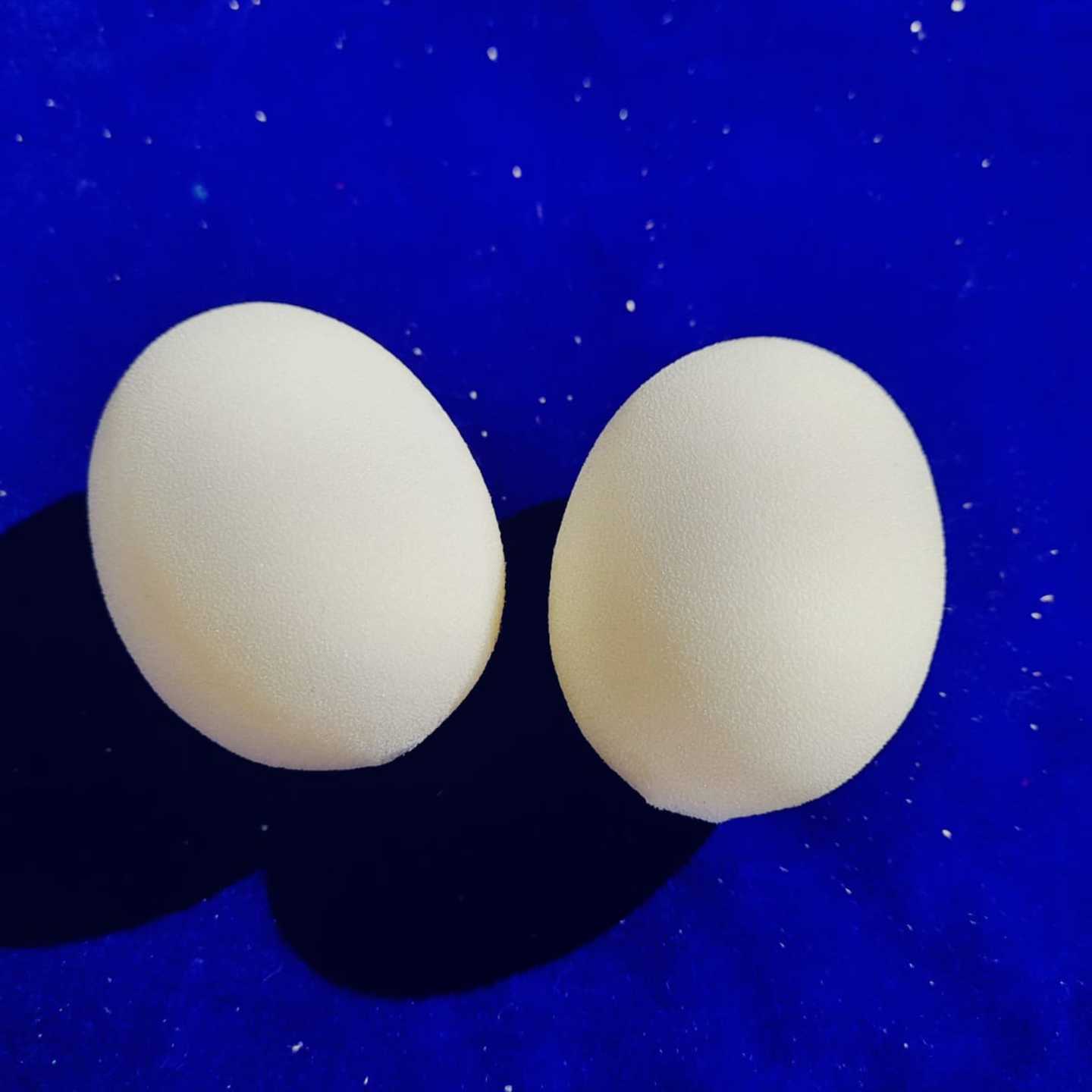 EGG