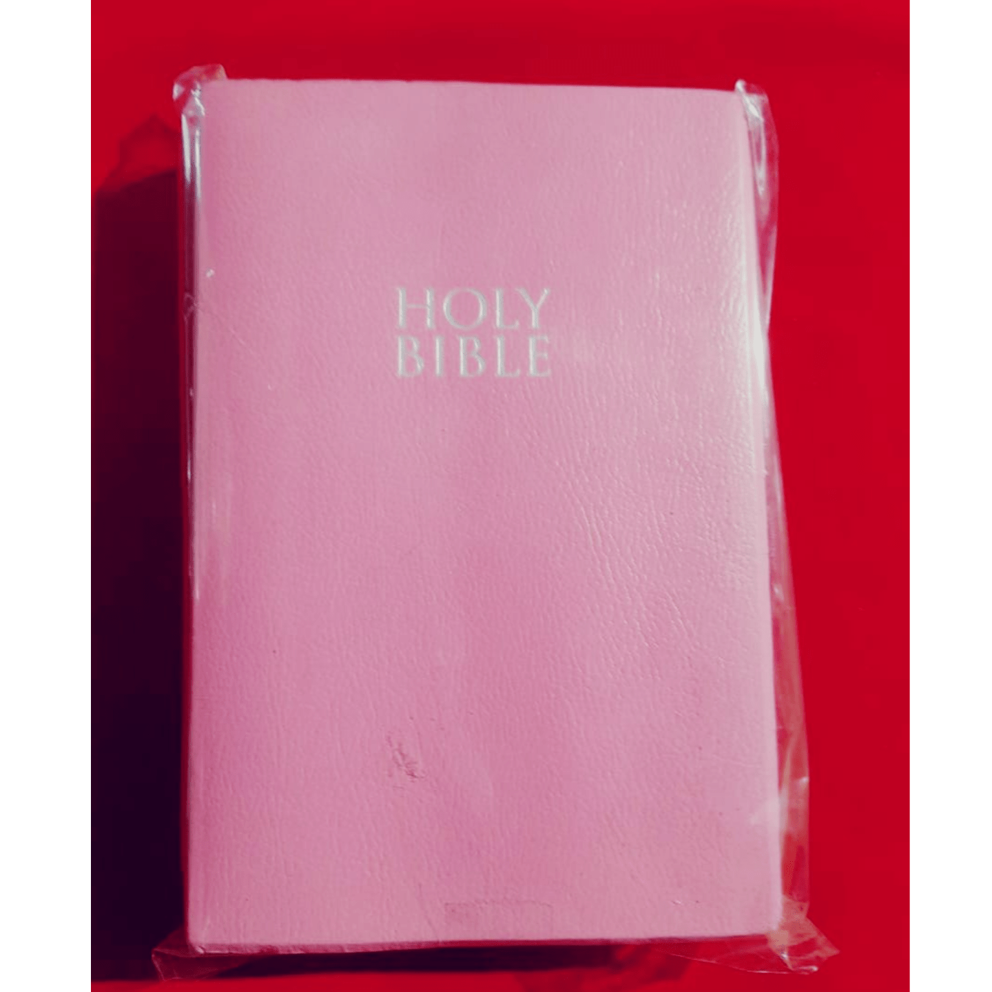 HOLY BIBLE