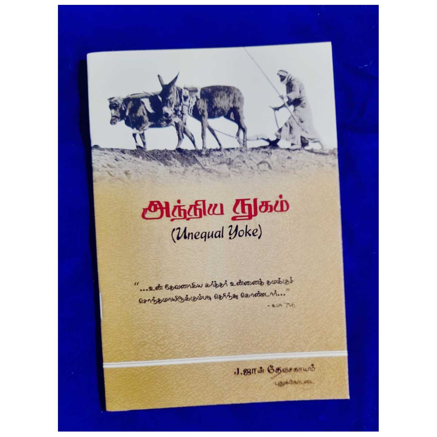 ANTIYA NGAM