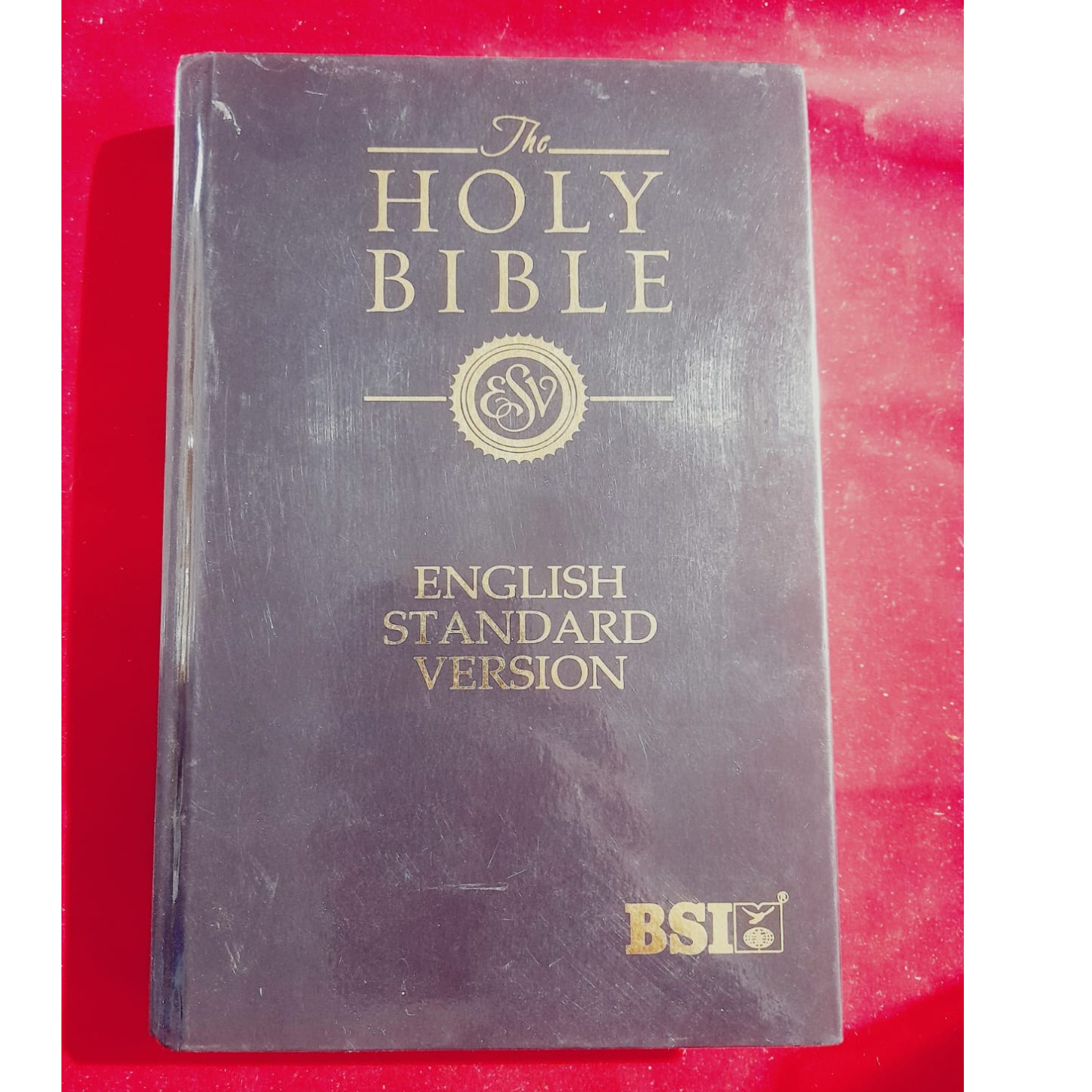 HOLYBIBLE ESV