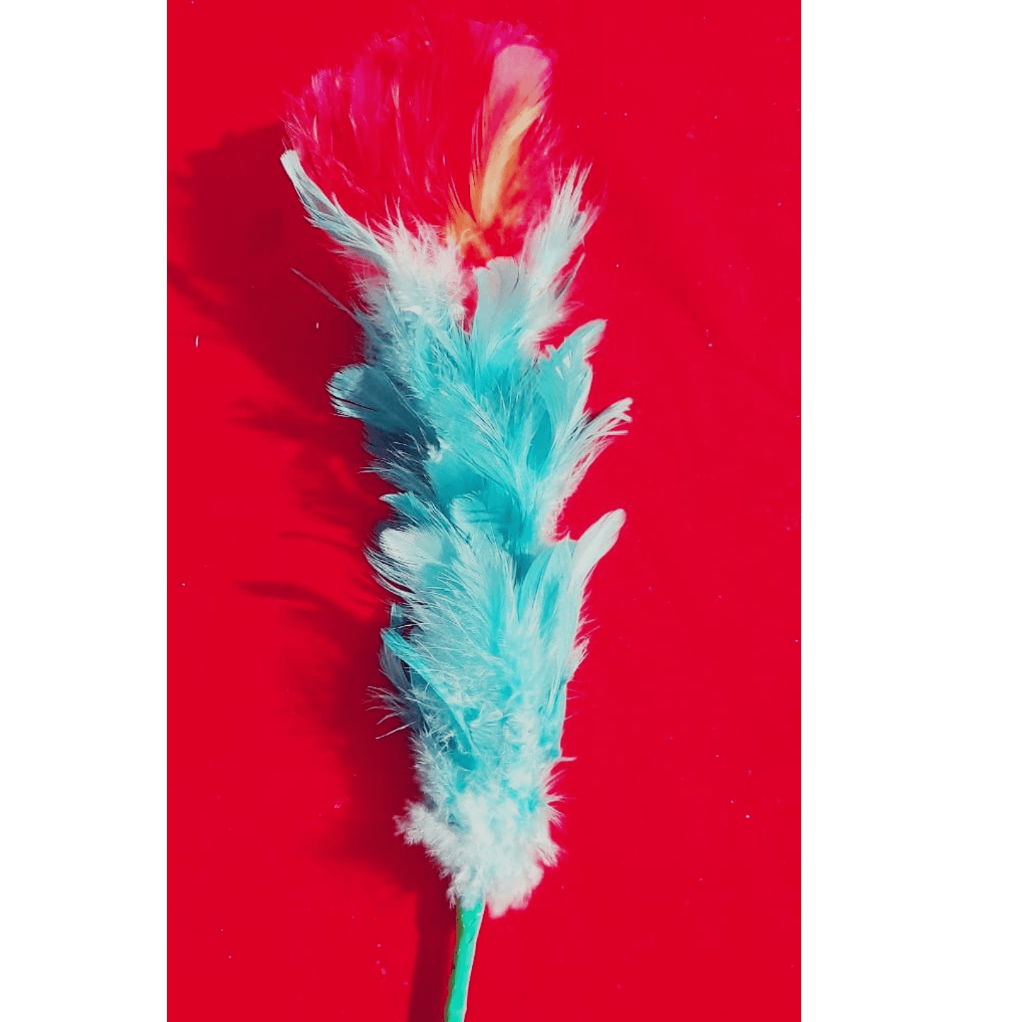 MAGIC FLOWER