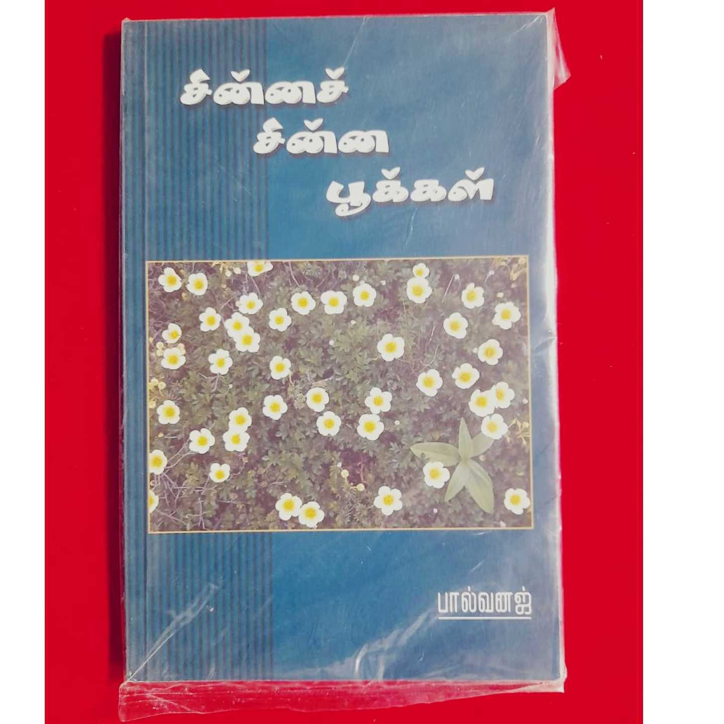 CHINNA CHIRU POOKAL