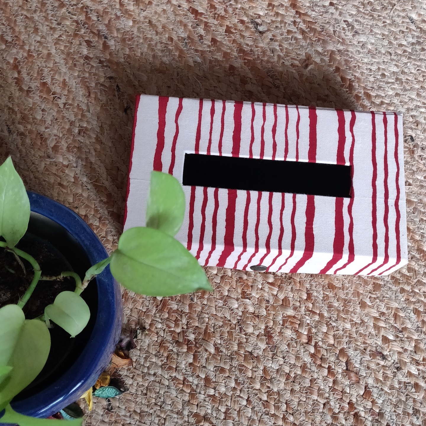 Lines and whites Tissue Box
