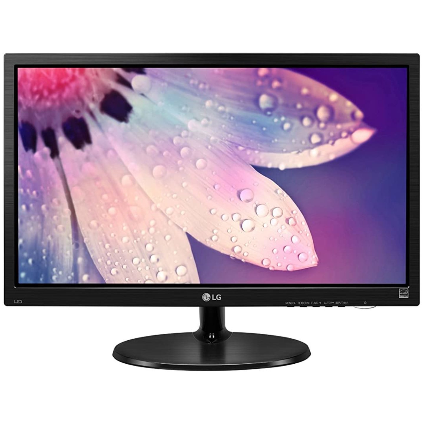 GREEN COMPUTERS LG 19 inch HD Ready Monitor, TN Panel with VGA, HDMI Ports - 19M38HB Black
