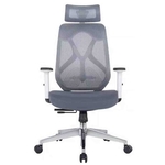 Ergonomic Office Chair PlushW-HB