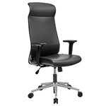 Executive Director Chair Echo HB