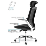Home Office Chair Model - F1M Ergonomic Office Chair