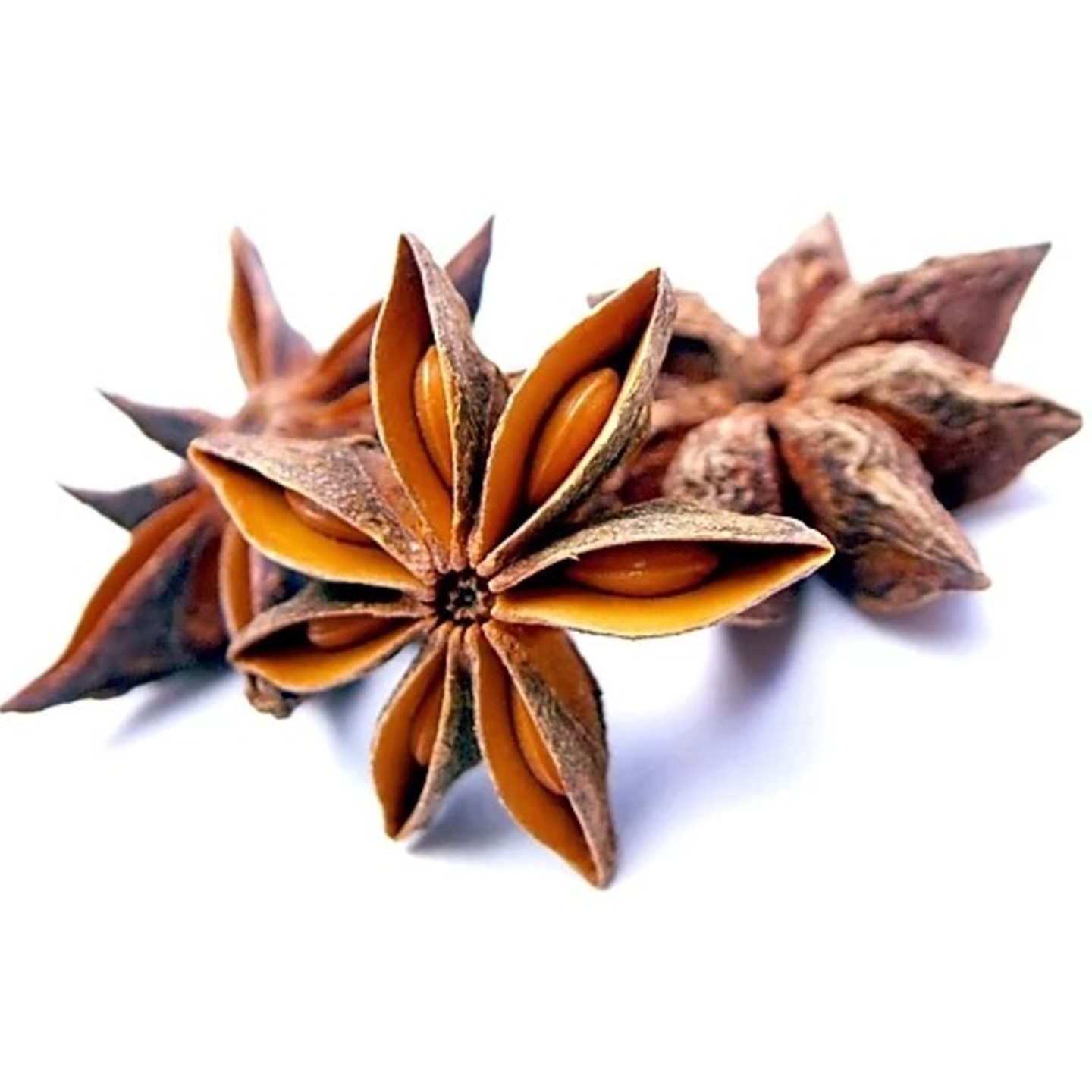 Bunga Lawang / Star Anise