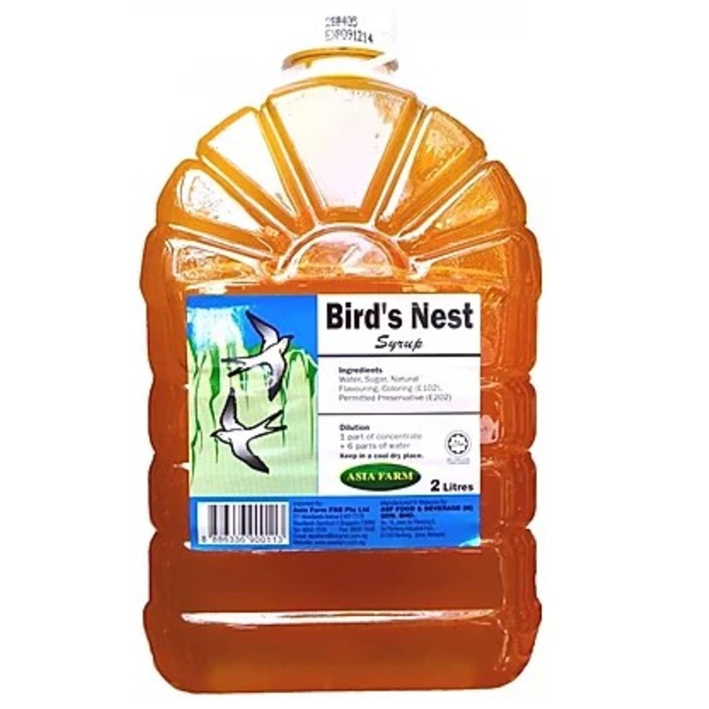 Bird's Nest