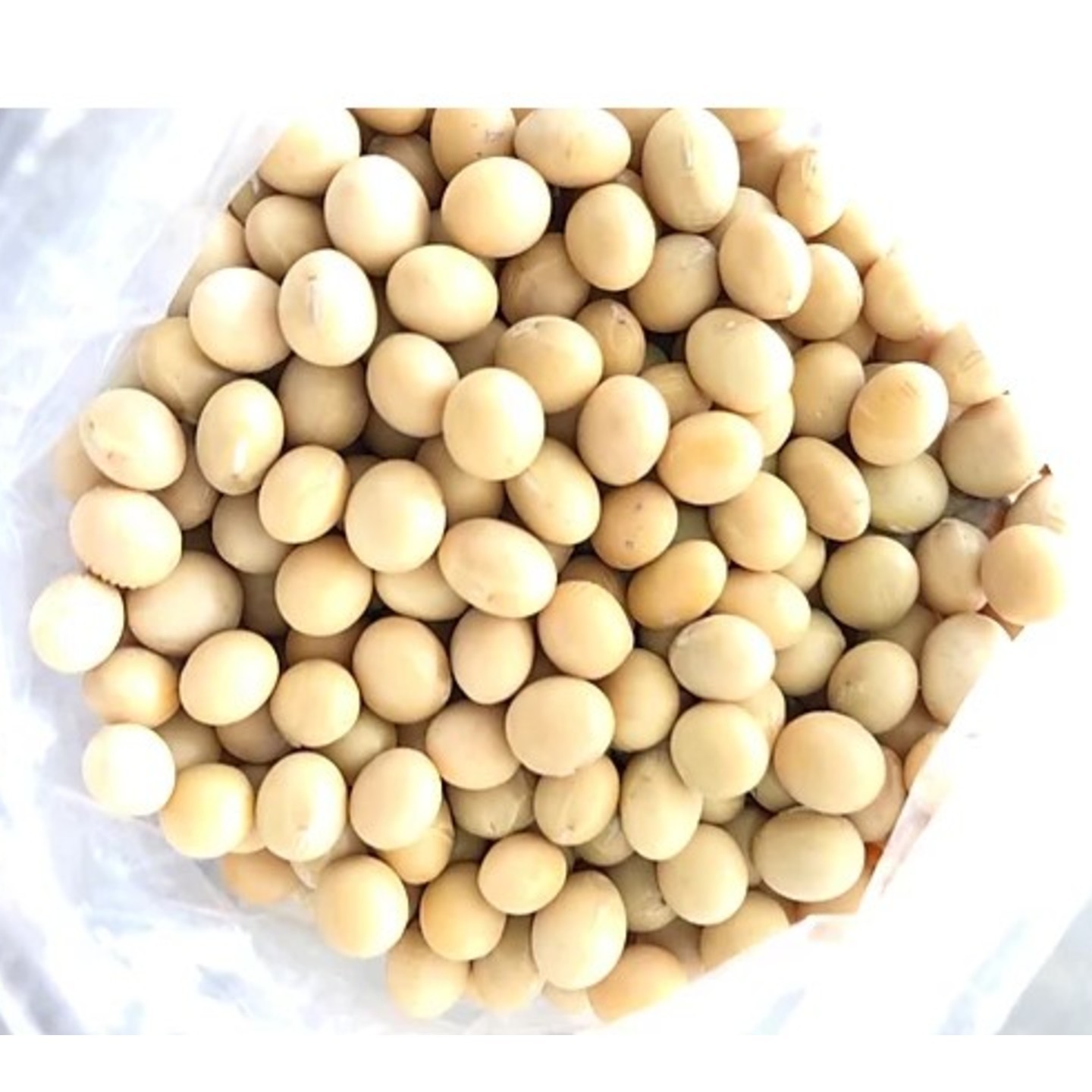 Kachang Soya / Soy Beans