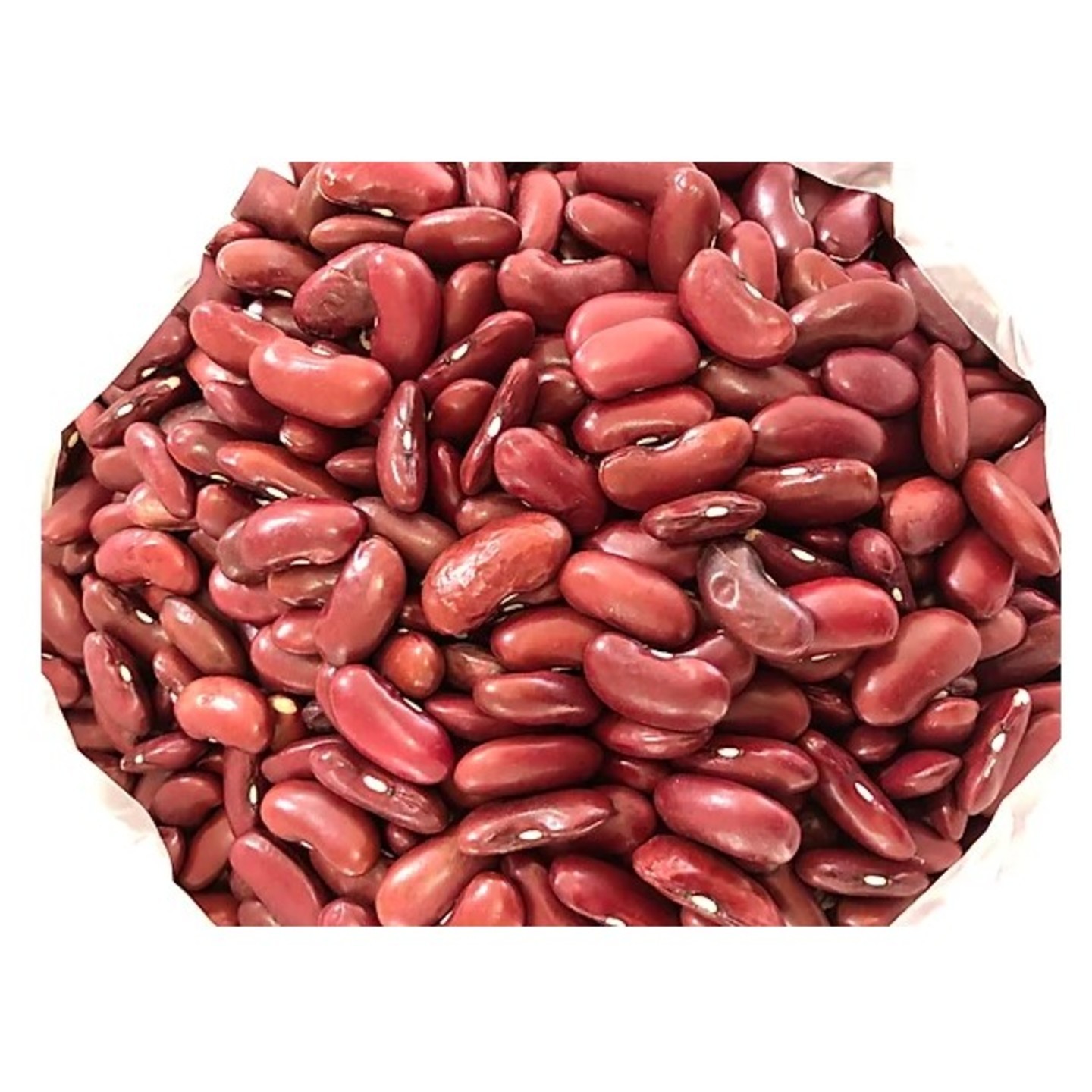 Kachang Merah / Kidney Beans