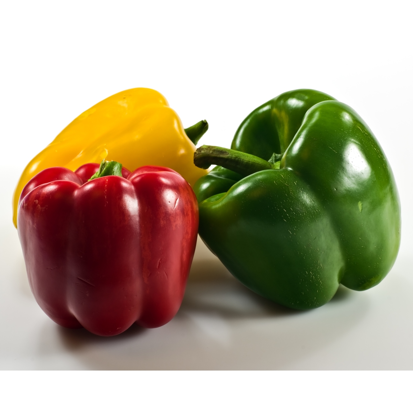 Capsicum  Bell Pepper