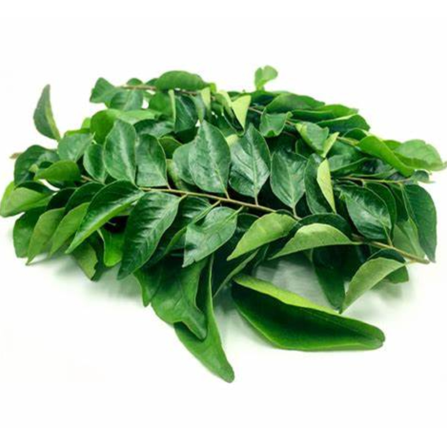 Curryleaves  Kadipatta Bunch