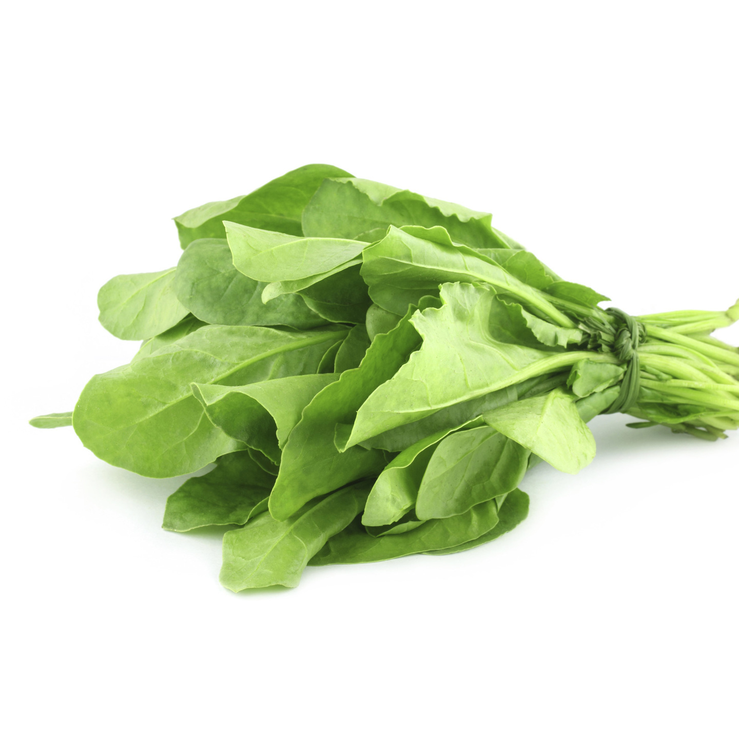 SPINACH