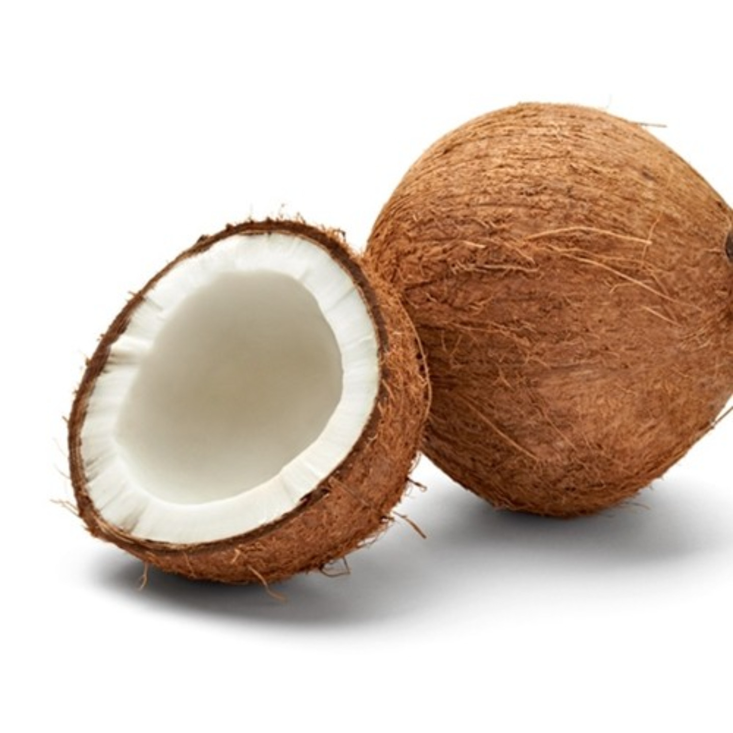 wet coconut 