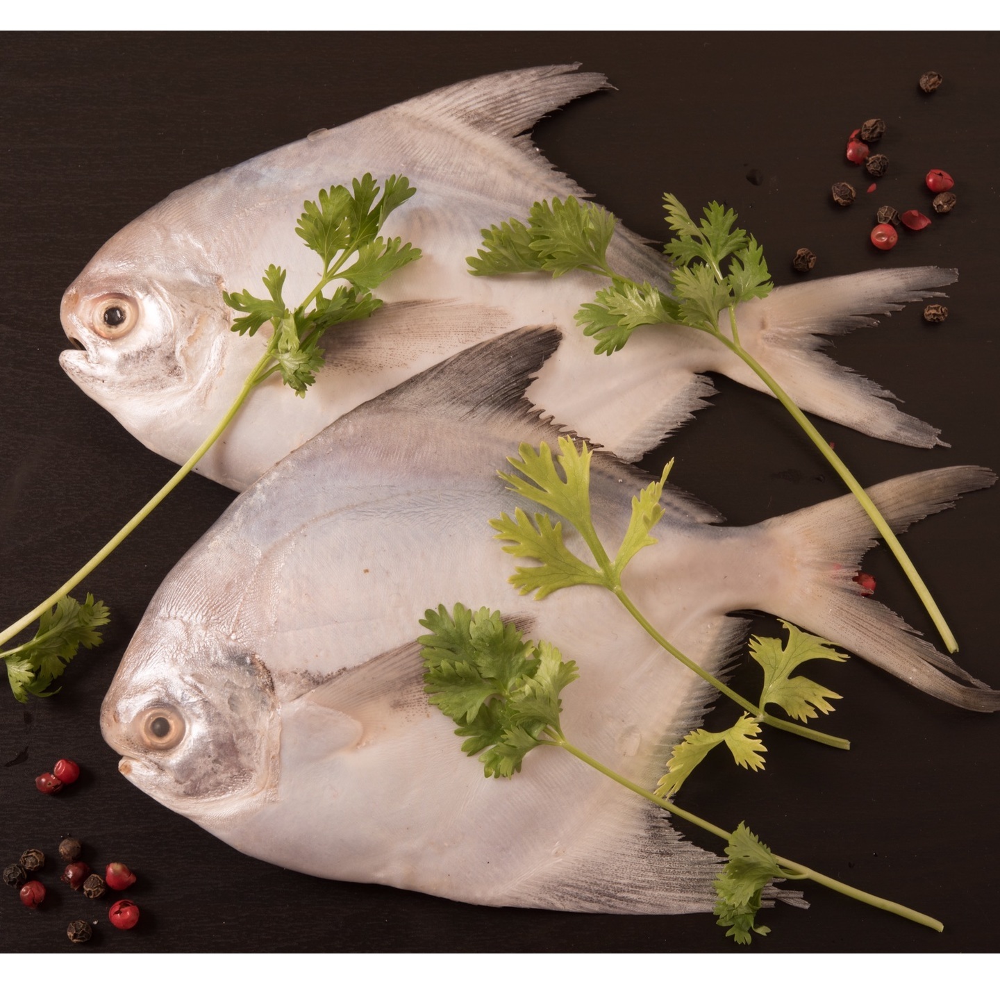 Pomfret Fish / Paplet Fish (White)