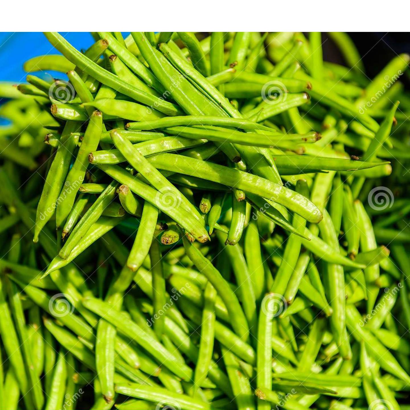 CLUSTER BEAN  GAWAR