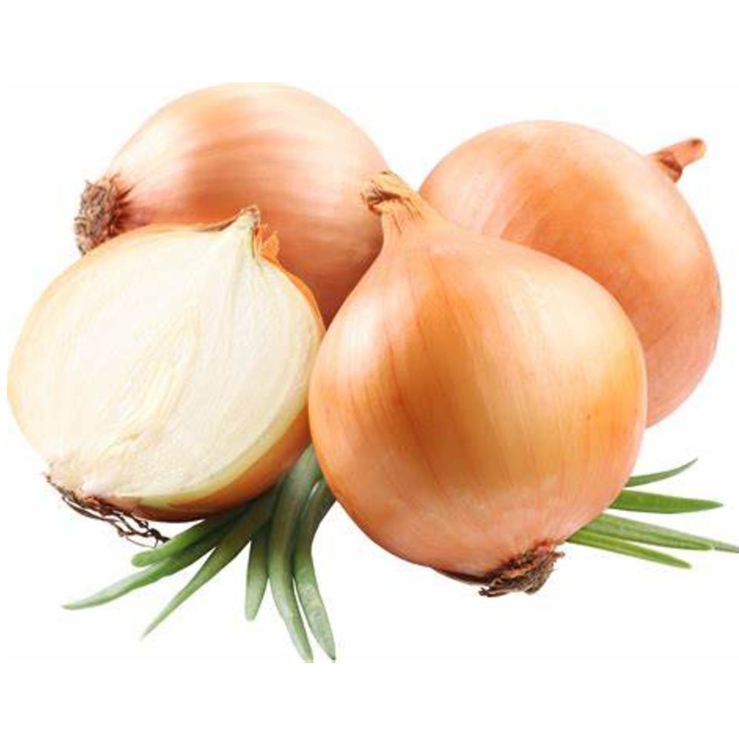 ONION 3 KG PACK