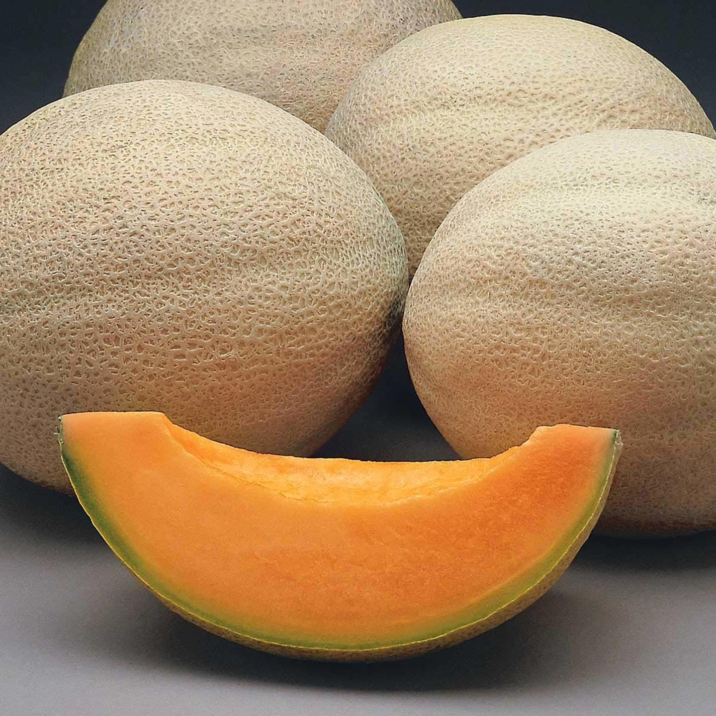 Muskmelon