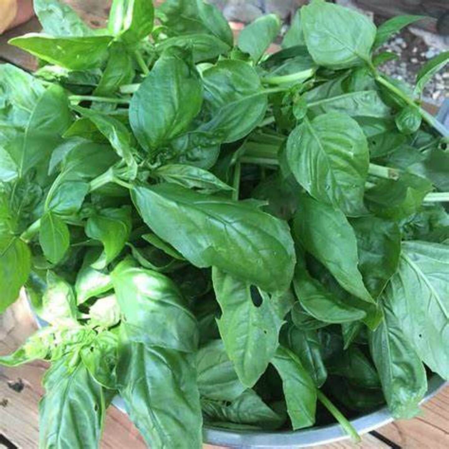 Basil : 1 kg