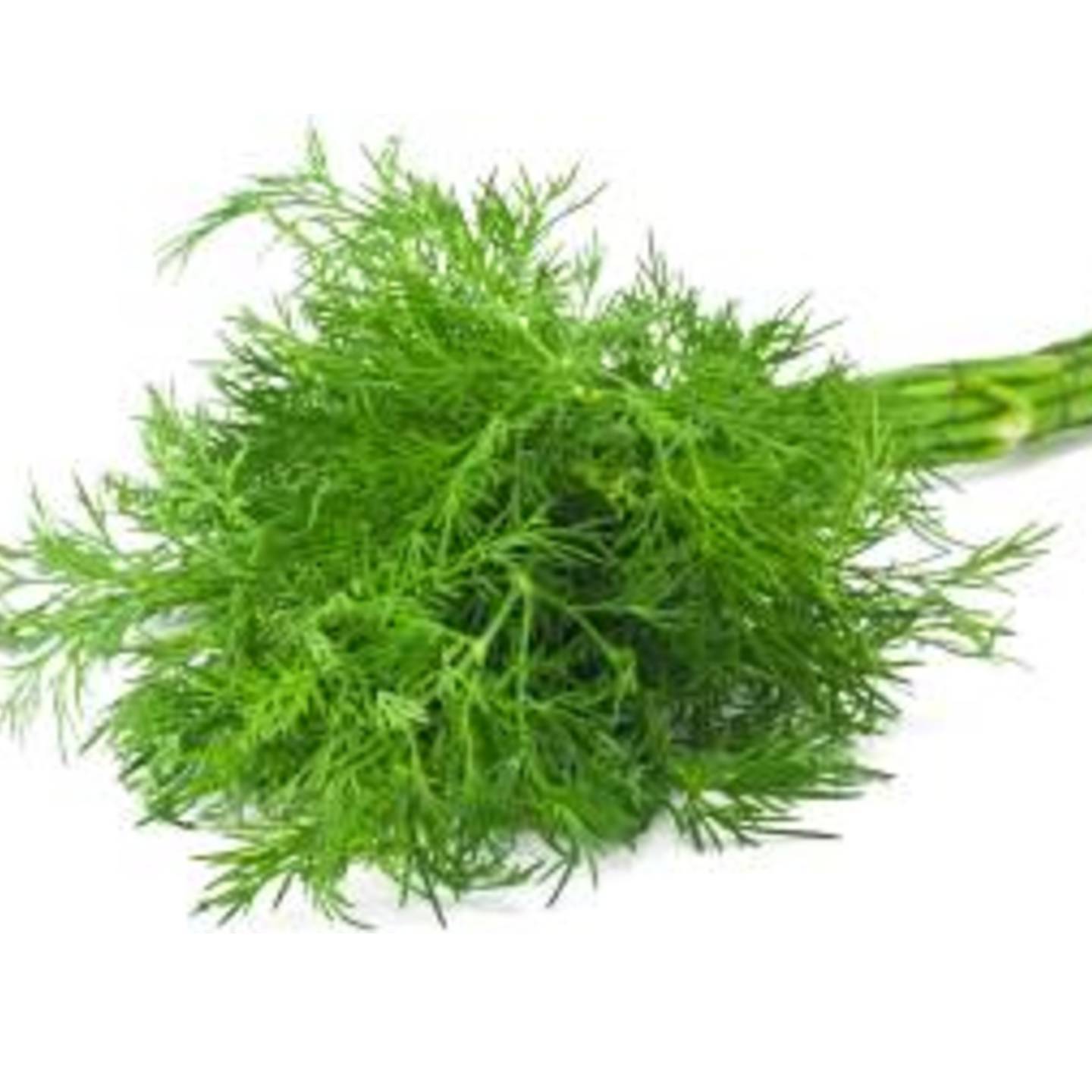 DILL