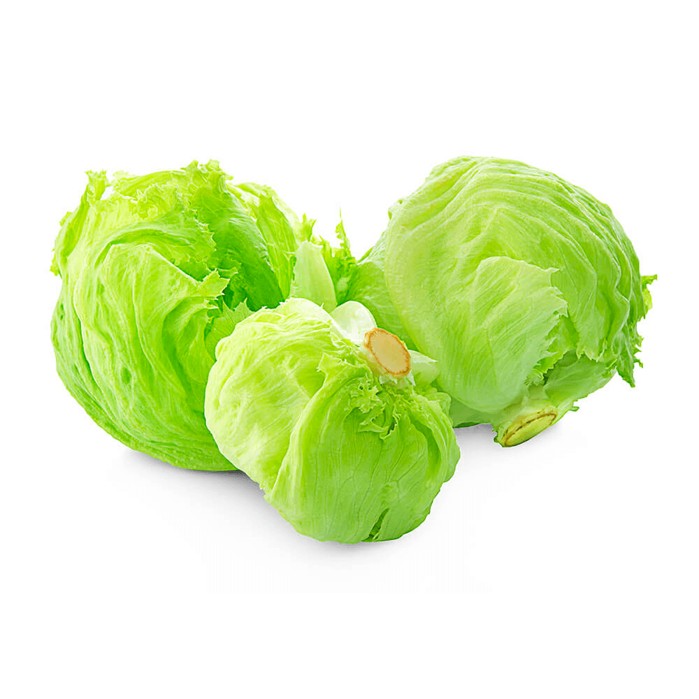 Iceberg lettuce