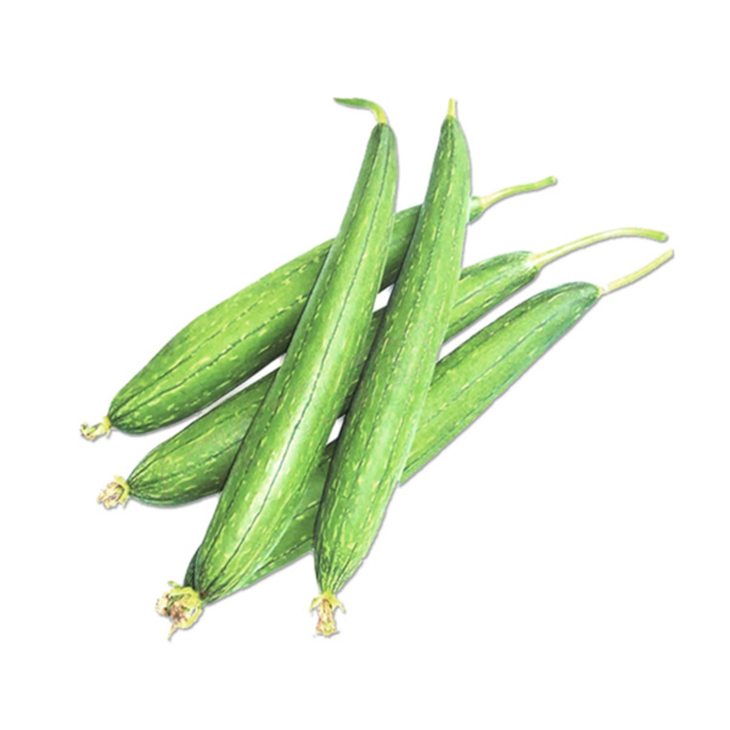 luffa gourd  gilke 250gm