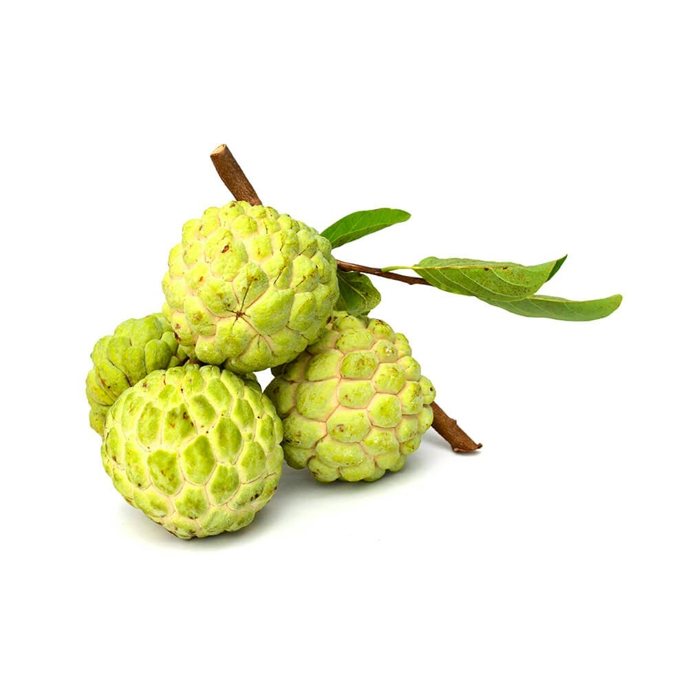 Custard-apple