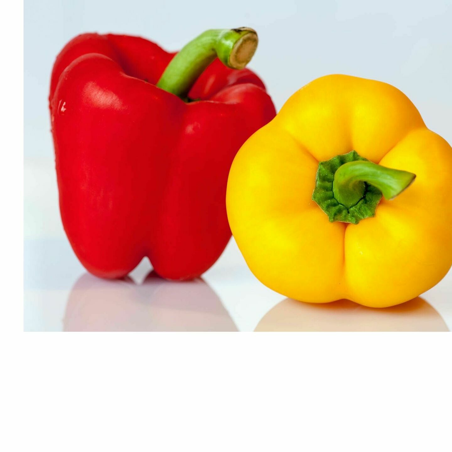 Capsicum : yellow + red (Mix)