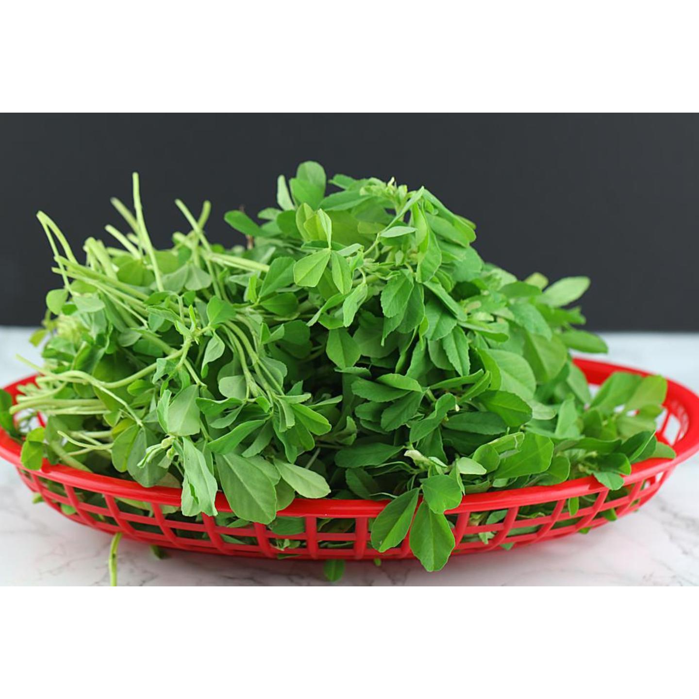 FENUGREAK LEAF  METHI 200gm Leaves