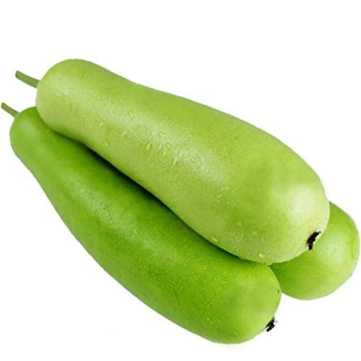 Bottle gourd  Dudhi 1 Piece