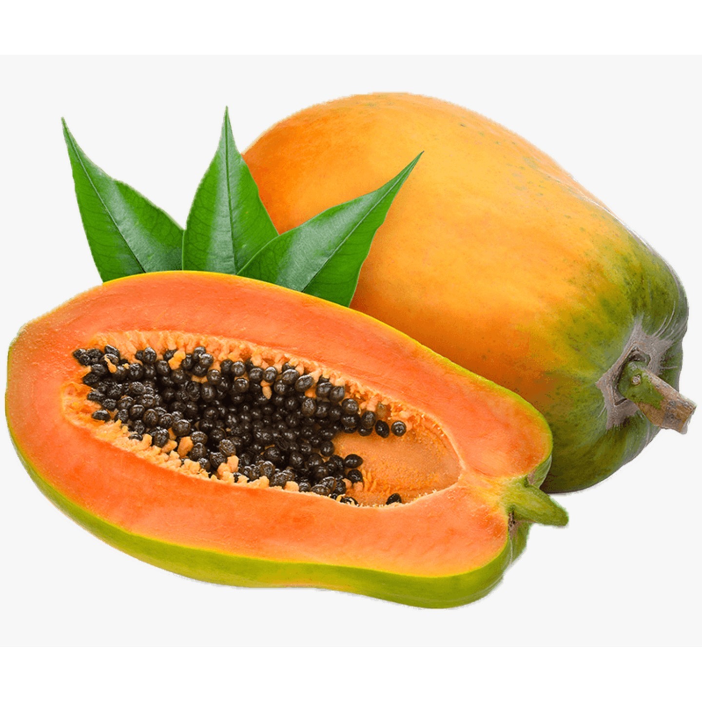 PAPAYA