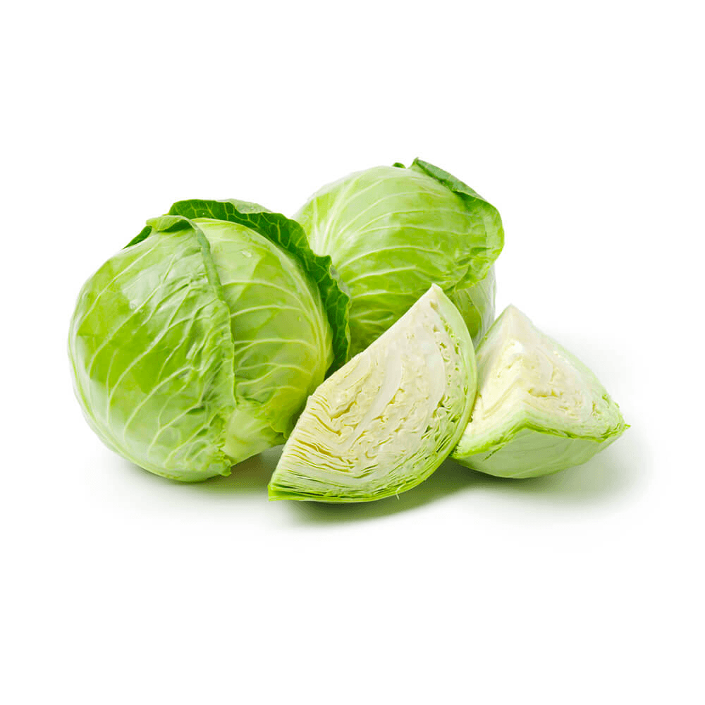 Cabbage