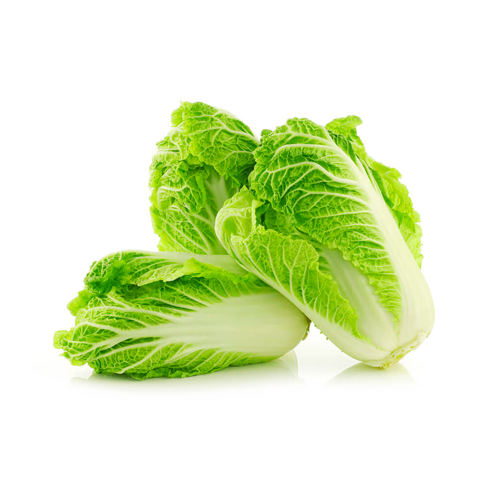 Fresh chinese cabbage