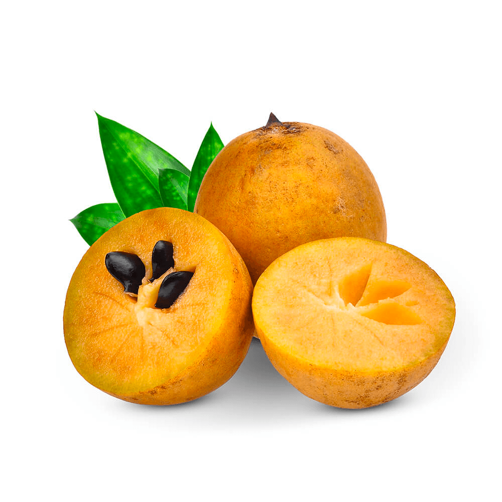 Sapodilla 