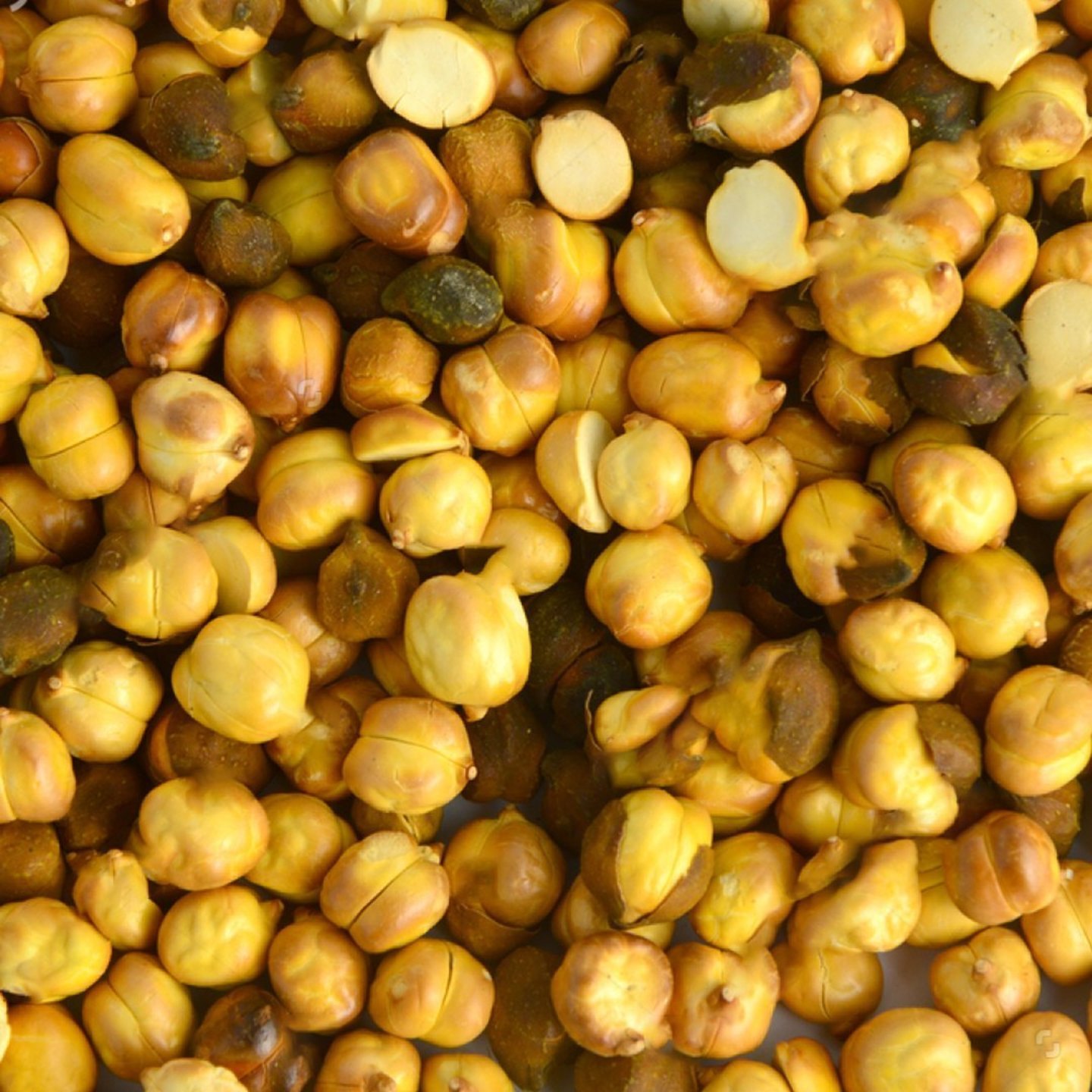 roasted-chana-brown