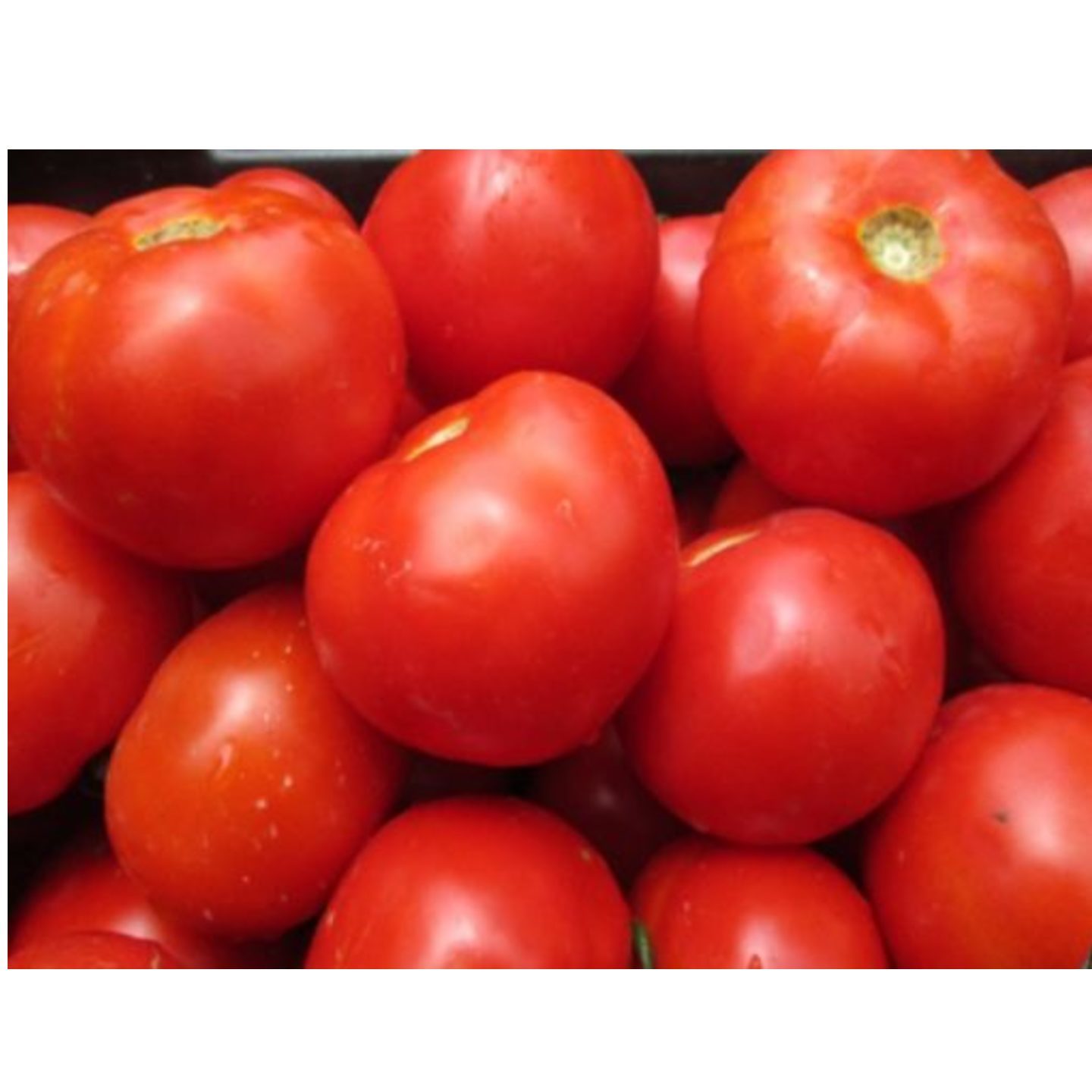 Tomato  Tamator 250gm