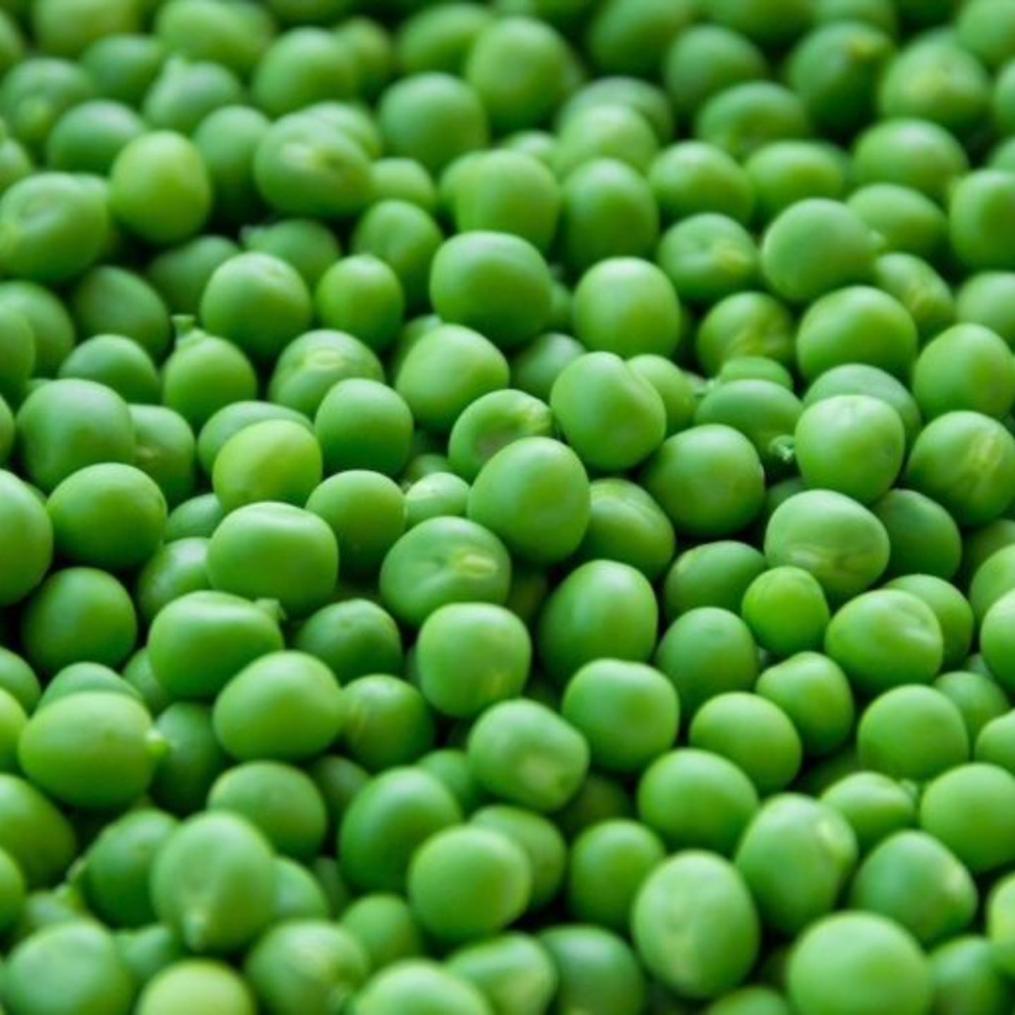 Fresh Green Peas  Vatana 250gm