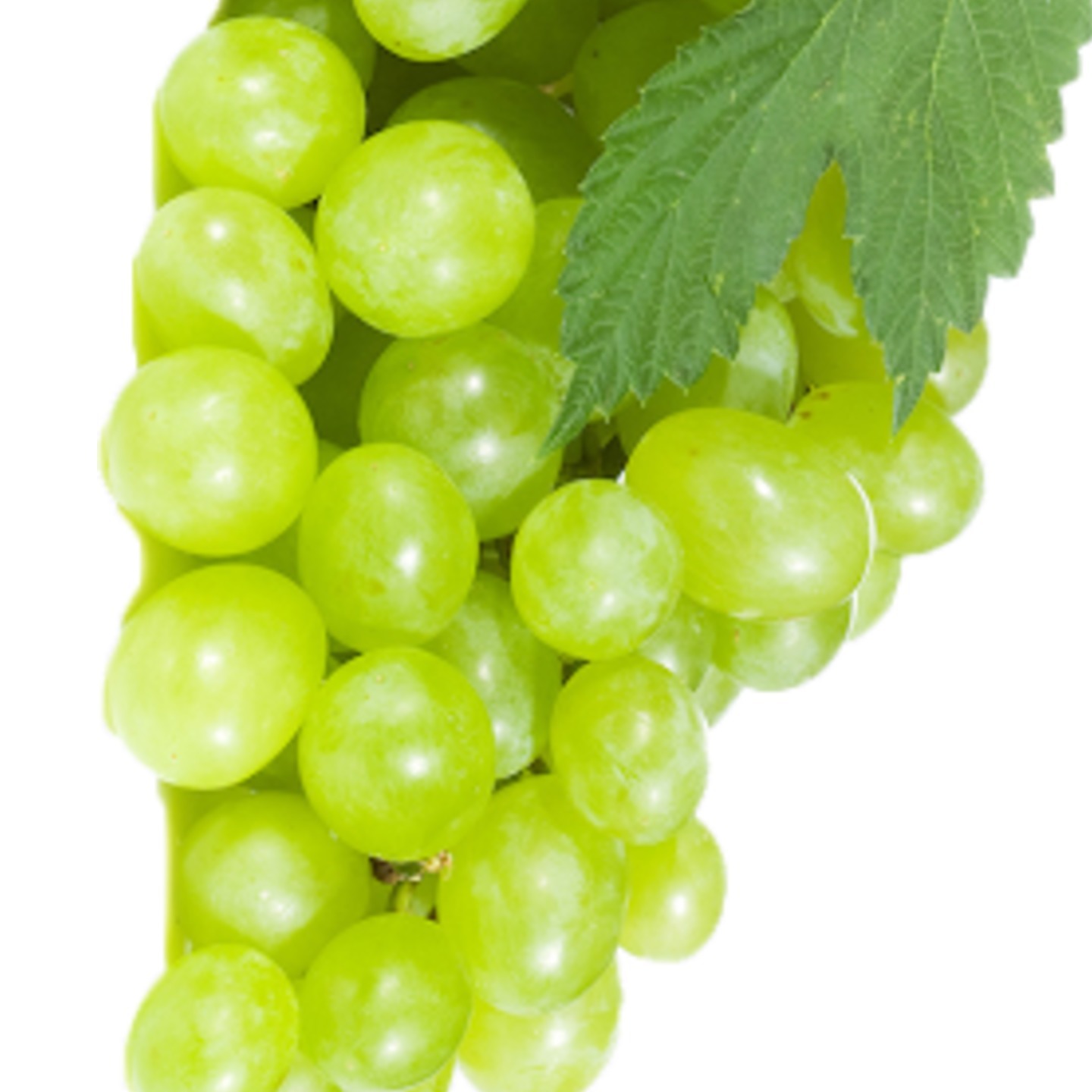 GREEN GRAPES